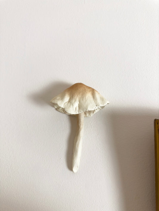 *MADE TO ORDER* Whispering Wall Mushroom Design 2