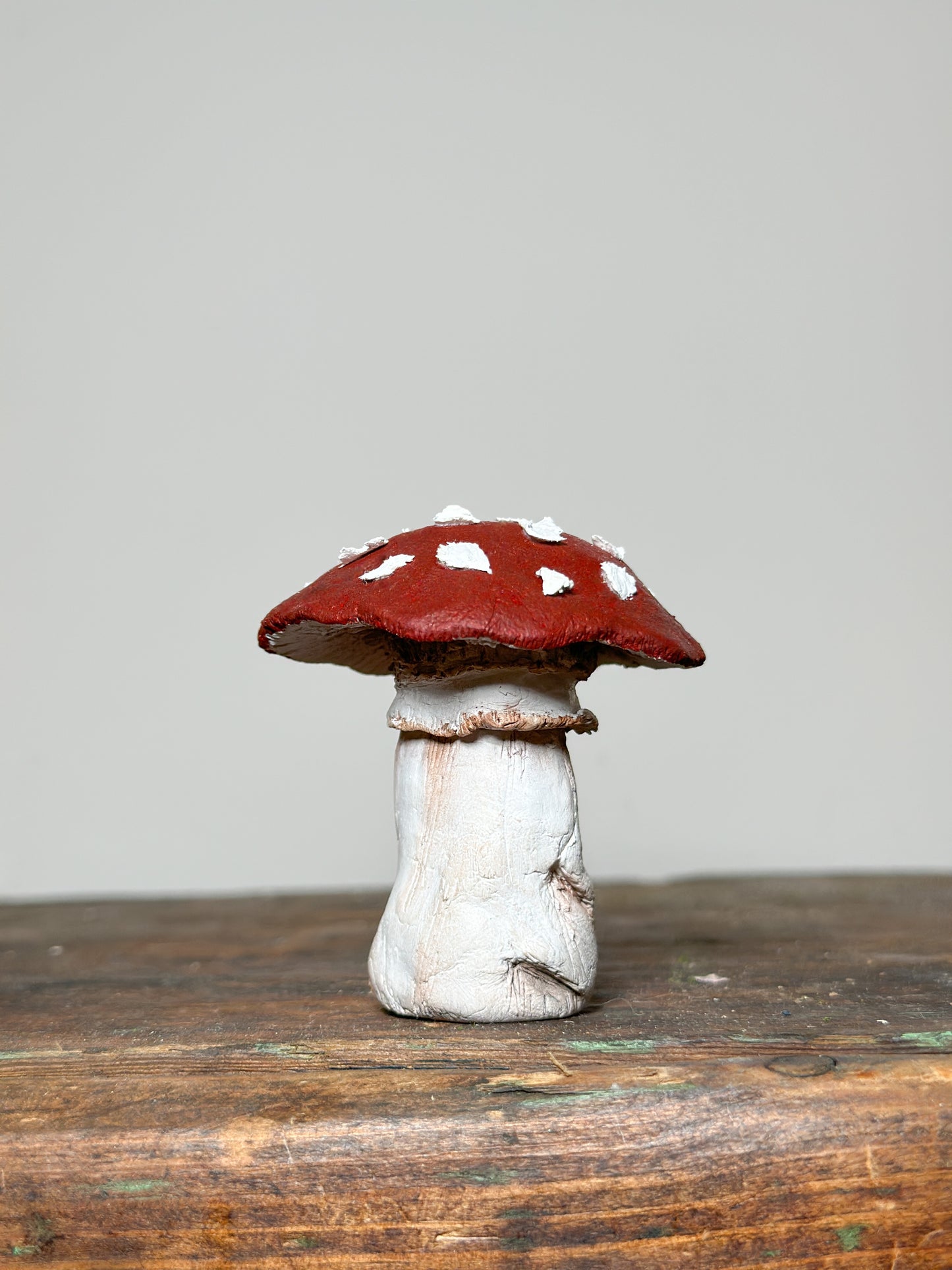 Tattletale Toadstools