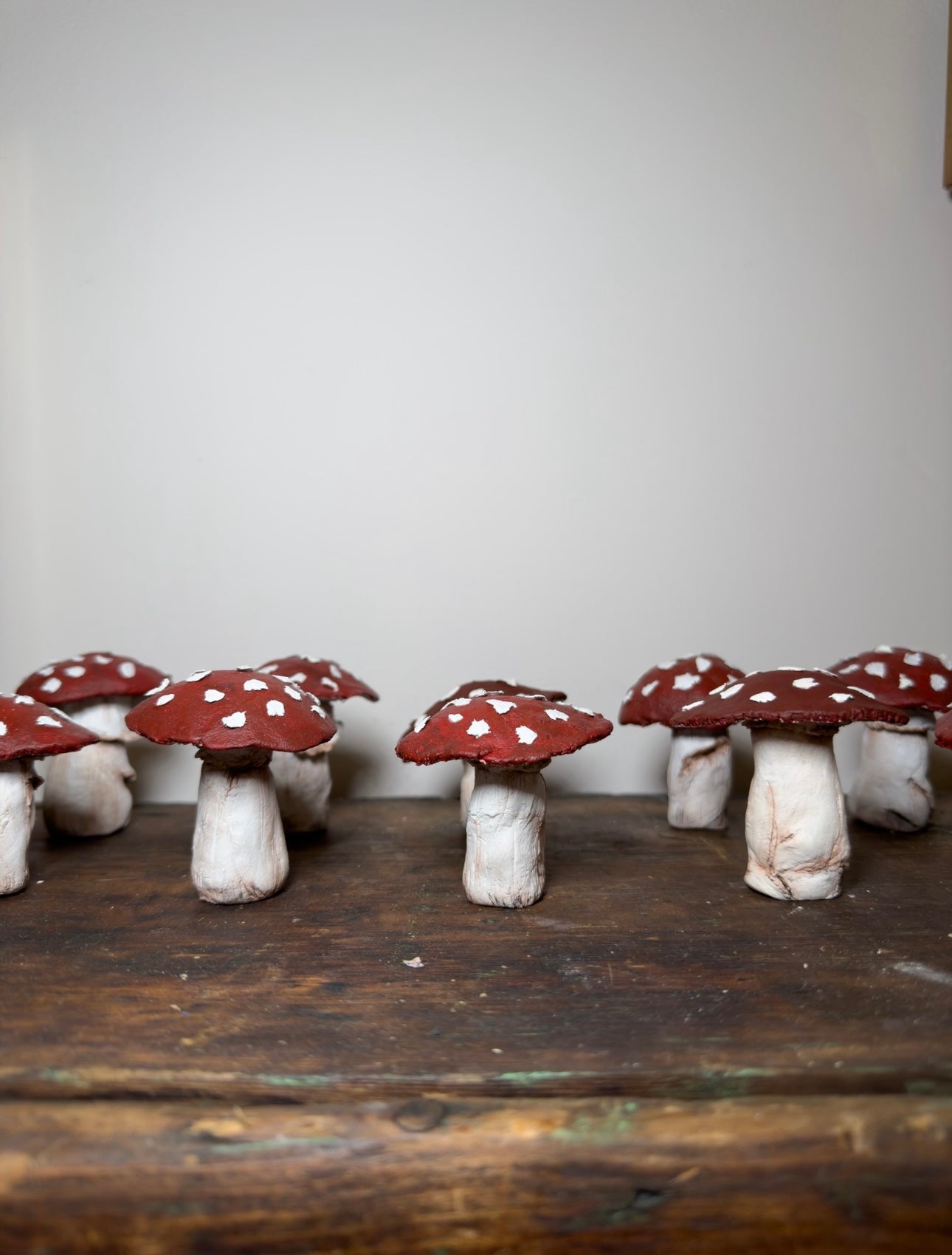 Tattletale Toadstools